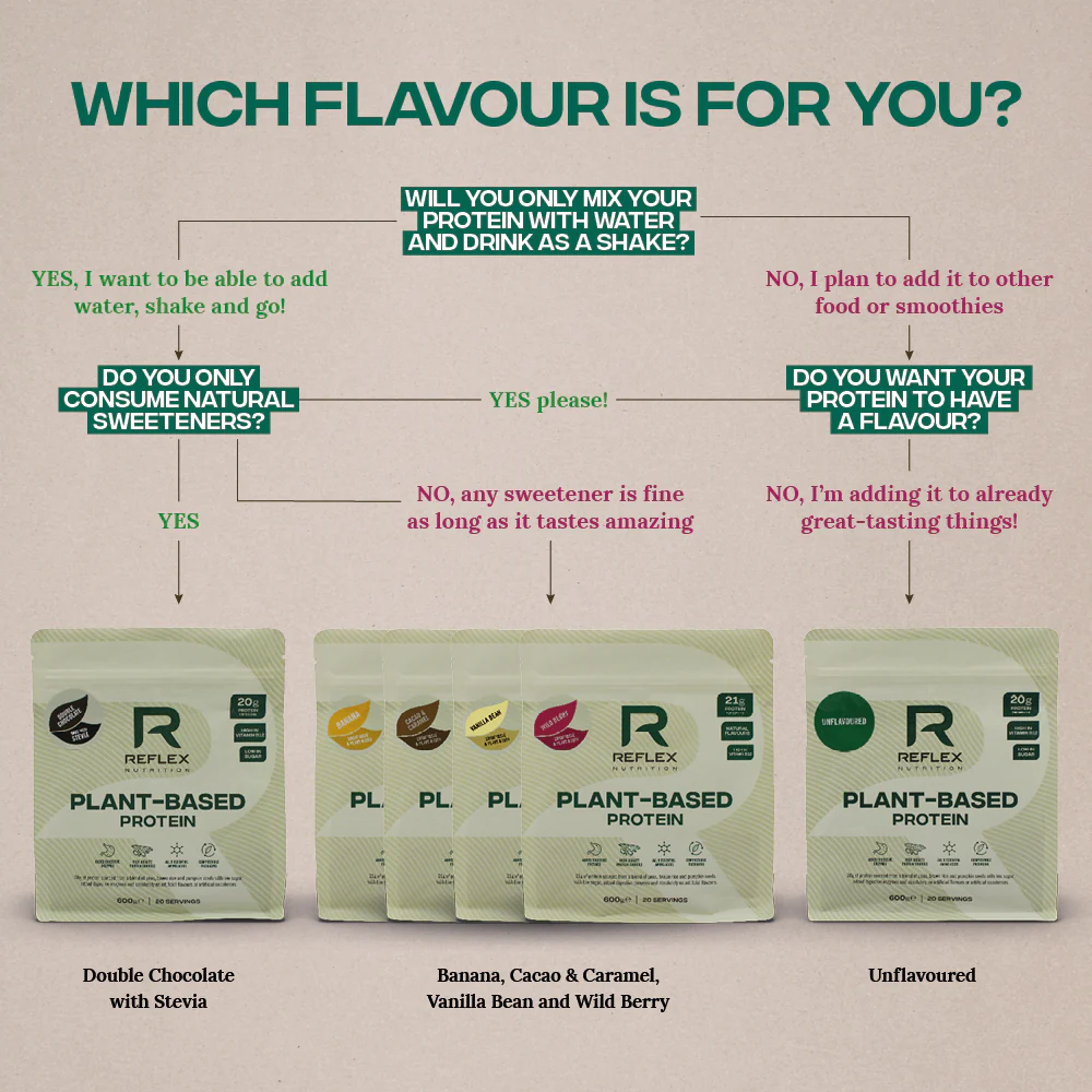 Plant-Based Protein (Sample) - Image 5